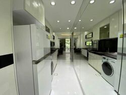 Loft @ Nathan (D10), Apartment #479140181